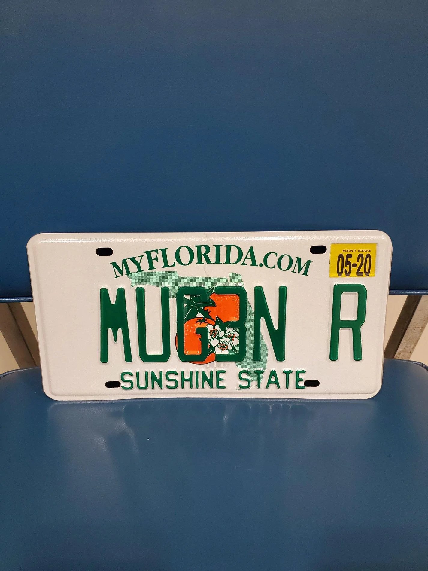 Custom Type R Plate Ideas | Page 12 | 2016+ Honda Civic Forum (10th Gen ...