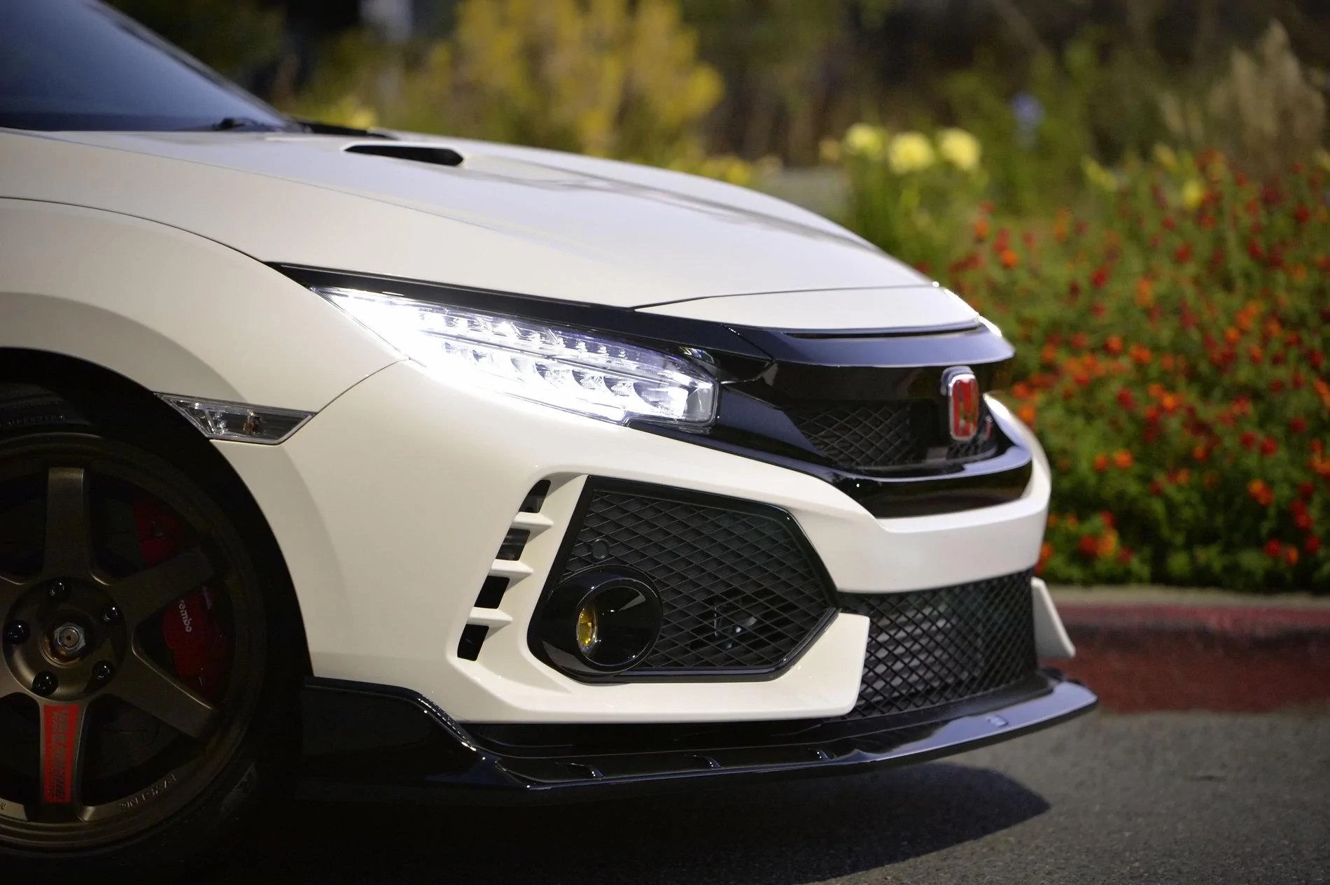 Official Championship White Type R Picture Thread | Page 100 | 2016 ...