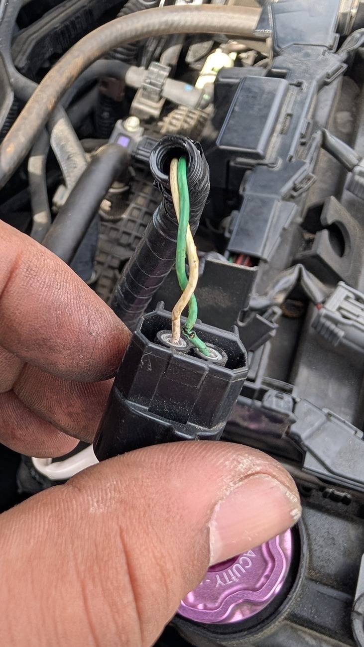 19 Civic SI thre code p0035 and p2565. | 2016+ Honda Civic Forum (10th ...